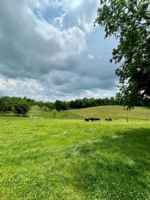 Bourbon Trail Cabin On The Farm Lawrenceburg Εξωτερικό φωτογραφία