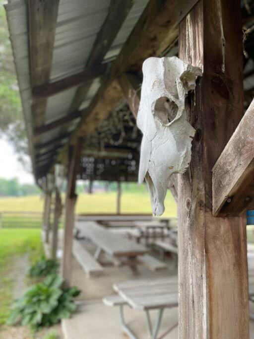 Bourbon Trail Cabin On The Farm Lawrenceburg Εξωτερικό φωτογραφία