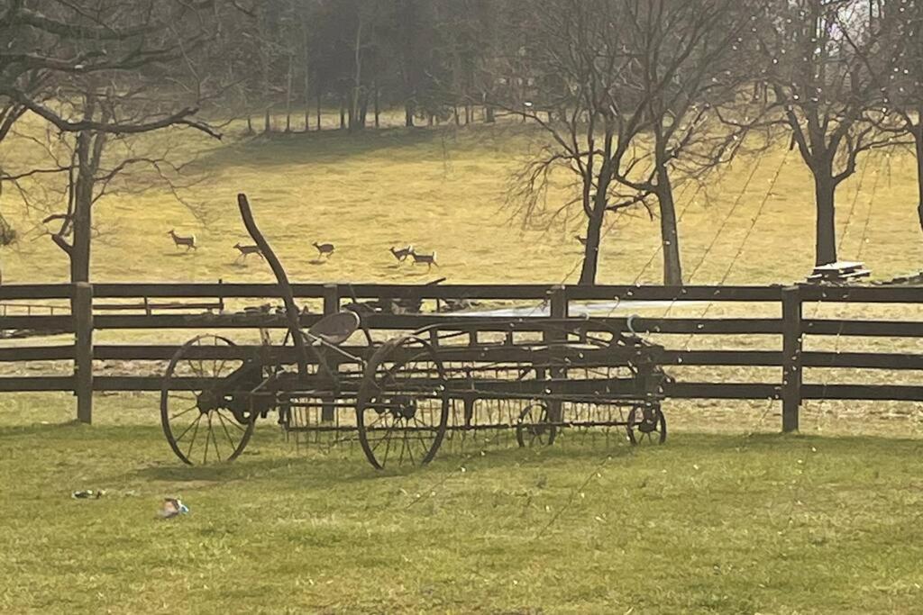 Bourbon Trail Cabin On The Farm Lawrenceburg Εξωτερικό φωτογραφία