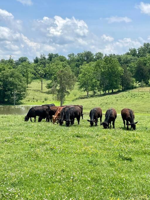 Bourbon Trail Cabin On The Farm Lawrenceburg Εξωτερικό φωτογραφία